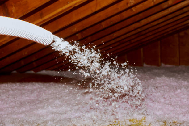 Best Geographic-Specific Insulation Services in Laureldale, PA