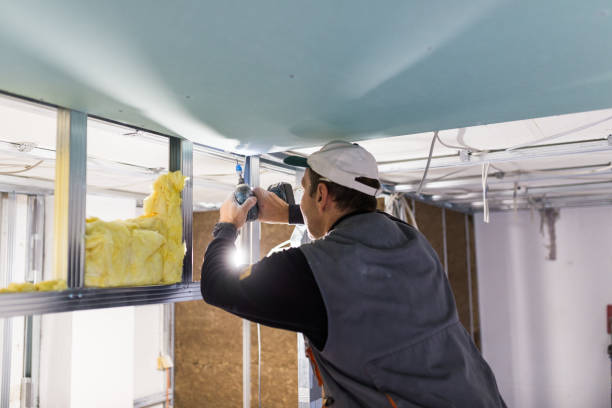 Best DIY Insulation Kits and Guidance in Laureldale, PA